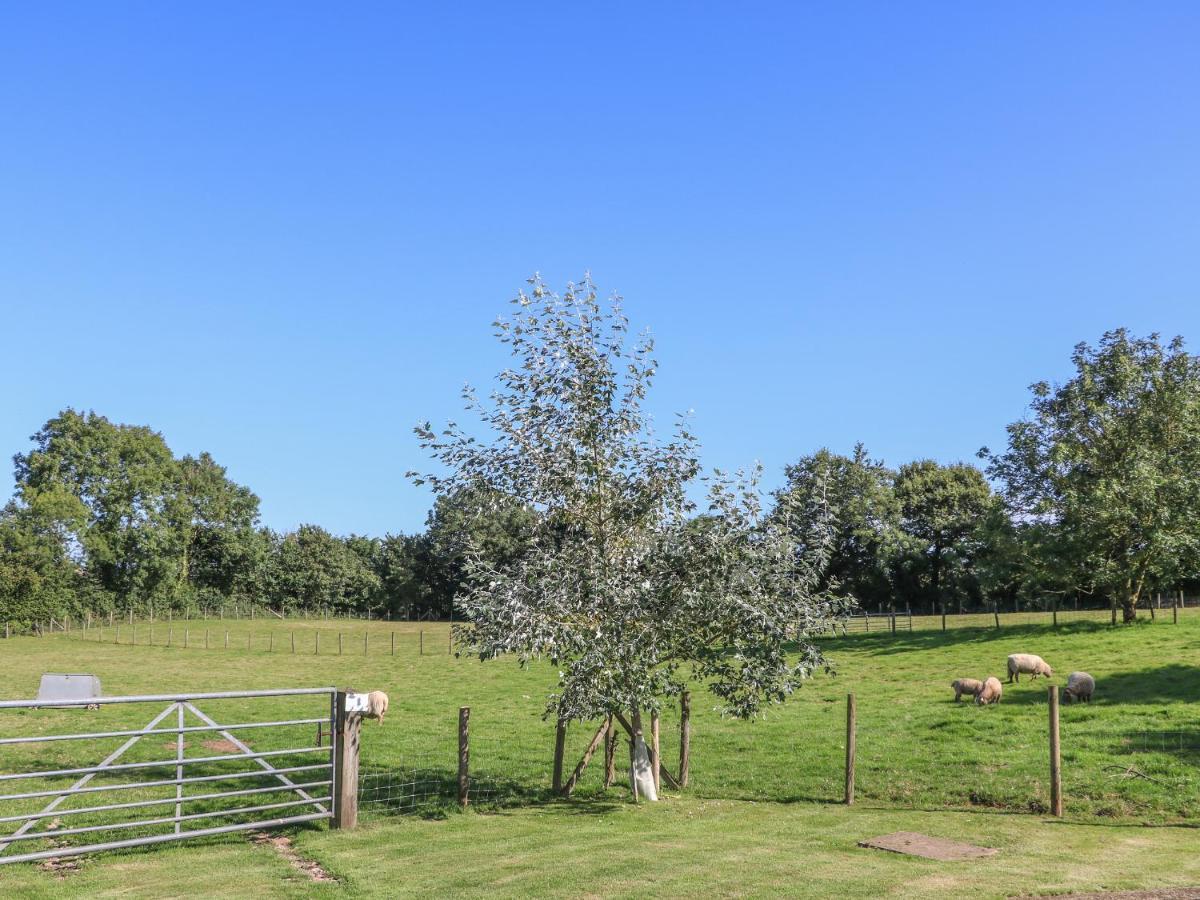 Вилла The Milk Shed Plymtree Экстерьер фото